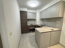 The Florence Residences (D19), Apartment #483996811